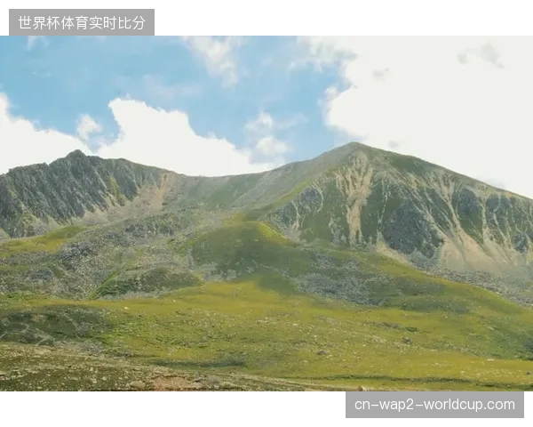 赛事赞助流量持续高涨但为何部分品牌价值核销流程依然极其漫长